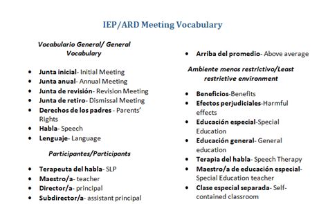 iep translated to spanish.